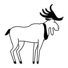 Reindeer wild animal vector illustration graphic design