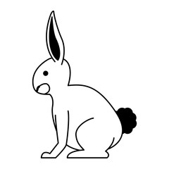 Obraz premium Rabbit wild animal vector illustration graphic design