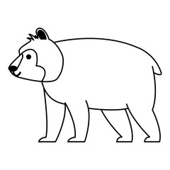 Bear wild animal vector illustration graphic design