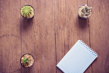 Fototapeta na wymiar cactus on wood and notebook Still Life , Three Cactus Plants on Vintage Wood Background Texture