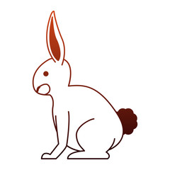 Rabbit wild animal vector illustration graphic design