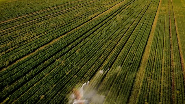 Bew&auml;sserung in der Landwirtschaft