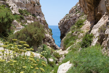 Wied Babu, at Wied iz-Zurrieq, green rocky valley, leading down to the azure turquoise water of the Blue Grotto, Zurrieq, Malta, May 2017