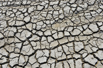 The parched soil