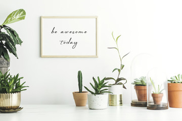 The stylish room filled with a lot of modern plants in different clay pots. Modern composition of home garden with mock up poster frame.