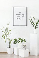 The scandinavian stylish interior filled a lot of plants in white design pots with copy space on the white background wall.