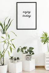 White interior with plants
