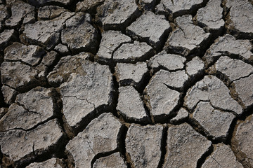 Climate warming dry chapped land