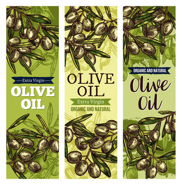 Olive oil label with green fruit and leaf sketch