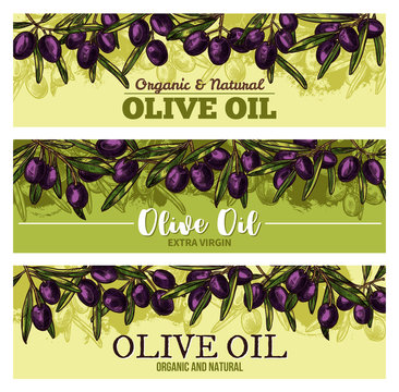 Olive oil banner with border of black fruit, leaf