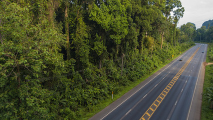 aerial view landscape of  Tree or forest ,  Krabi Thailand