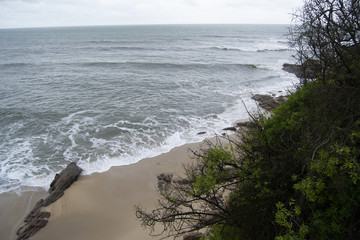 Beach and vegetations
