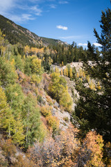 Autumn mountain landscape near Aspen, Colorado. 