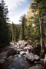 A river flowing through a forest in the Rocky Mountains in Colorado. 