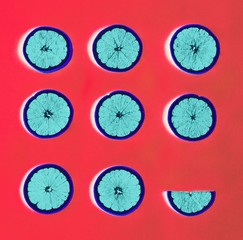 Aerial view of colorful citrus slices