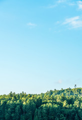 Late summer blue sky against cedar forested landscape