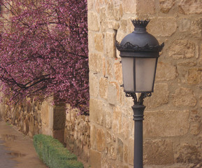 Vintage style street lamp with cherry blossom, Toledo