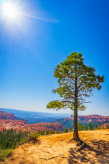 The Bryce Canyon National Park, Utah, United States