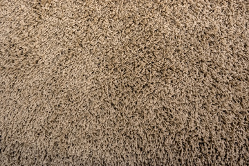 Texture of a brown carpet background