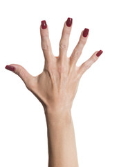 Mano femminile su sfondo bianco