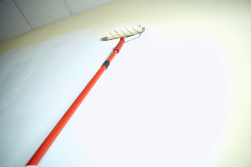 pencil on white background