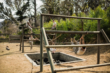 Young military soldiers practicing rope climbing during obstacle course