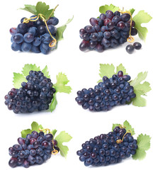 Grape fruit