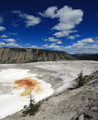 Mammoth Hot Springs Lower Terrace in Yellowstone National Park in Wyoming United States