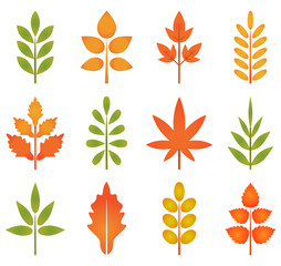cute leaves vector
