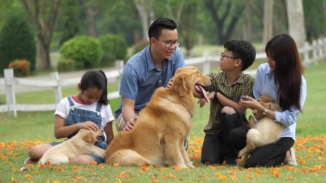 Asian family with dog puppy in park