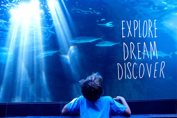explore, dream, discover against young man looking at fish in a tank 