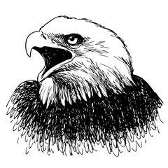 Black and white eagle hand drawn