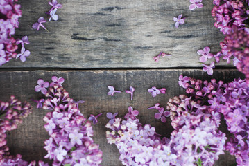 Spring flowers. Lilac flowers Frame on Rustic Textured Gray wooden background. Top view, flat lay