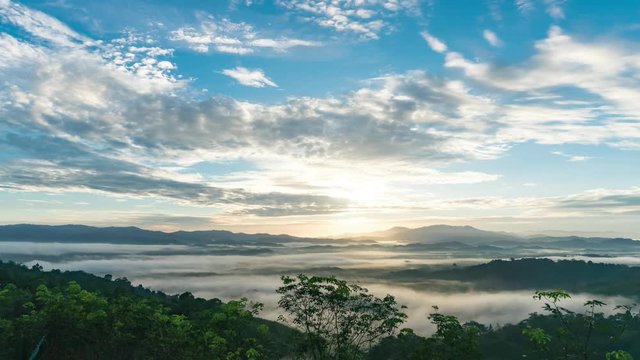 4K Beautiful morning sunrise and fog in tropical rainforest, misty mountain forest fog in phang nga province thailand