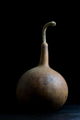 bottle gourd ( plant specimens in the herbarium)
