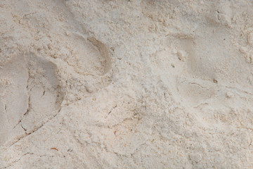 Sandy beach for background - Sand texture.