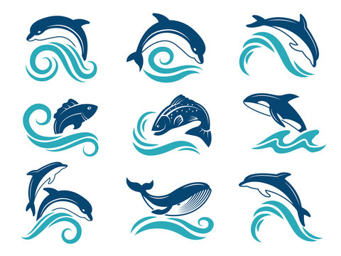 Pictures of dolphins and other marine animals. Logo design template