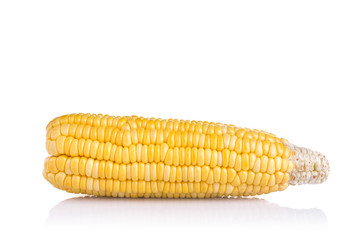 Fresh yellow sweet corn on the cob.