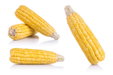 Fresh yellow sweet corn on the cob