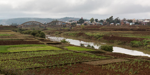 Fototapeta na wymiar Paysage de riziculture à Madagascar