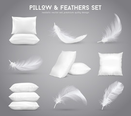 Feathers And Pillows Realistic Set