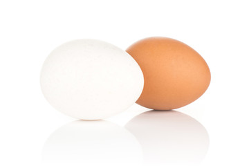 Two white chicken eggs isolated on white background one white and brown collection.