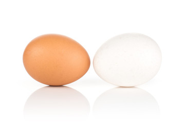 Two white chicken eggs isolated on white background white and brown collection.