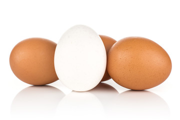 White chicken eggs collection isolated on white background one white three brown.