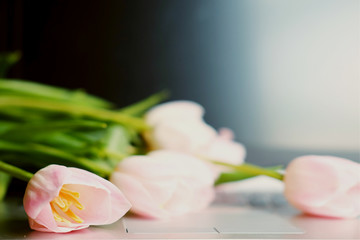 Bouquet of pink tulips on laptop, Happy mother's day.
