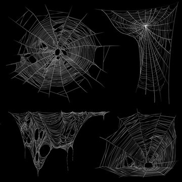  Realistic Spider Web Cobweb Set 