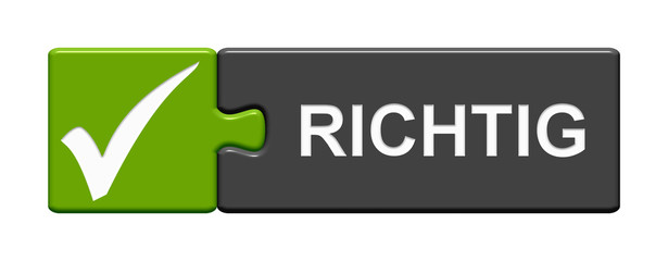 Puzzle Button zeigt Richtig