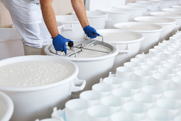 Close-up Of A Man Forming Cheese Into The Big Plastic Molds At The Small Producing. Work Concept