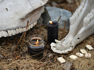 Close up of horse skull with teeth, ancient runes and burning black candles. Mystic background with...