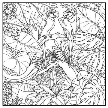 Wild jungle with two parrots of macaw sit on branch over  forest lake black contour line drawing for coloring on a white background